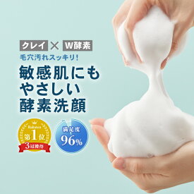 酵素洗顔 【3本購入で1本無料】　濃密 泡 洗顔 フォーム 泥 医薬部外品 薬用 低刺激 つっぱらない 無添加 乾燥肌 敏感肌 コラーゲン セラミド 毛穴 黒ずみ 角質 角栓 除去 大人 ニキビ 肌荒れ 予防 いちご鼻 保湿 くすみ メンズ レディース NALC ナルク