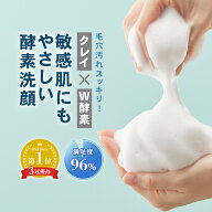 酵素洗顔 【3本購入で1本無料】　濃密 泡 洗顔 フォーム 泥 医薬部外品 薬用 低刺激 つっぱらない 無添加…