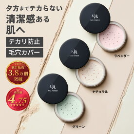 NULL フェイスパウダー メンズ テカリ防止 毛穴隠し 毛穴 カバー 皮脂吸着 テカリ 皮脂 抑制 ナチュラル トーンアップ メイク崩れ 防止 肌荒れ防止 赤み カバー 透明感 大容量 リフィル さらさら Tゾーン 頬 鼻用 ルースパウダー ベージュ/グリーン/パープル