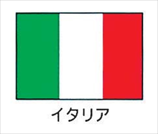 エクスラン万国旗　70×105[イタリア][8-2508-0801] YJN6601