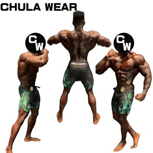 �`�����E�F�A �T�[�t�p���c CHULA WEAR �X�e�[�W �V���[�c ���� VENGEANCE 17 INCHES �n�[�t�p���c �Z�p�� �t�B�W�[�J�[ ��� �����Y �؃g�� �W�� �E�G�A ���K�i[�ߗ�] ��00582