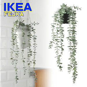 IKEA lHϗtA FEJKA tFCJ  Op 艺^ [J 9 cm CPA 00572