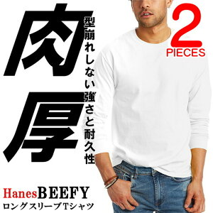 wCY r[tB[ TVc 2  Hanes BEEFY n wr[EFCg  jZbNX H5186 [ߗ] 00582