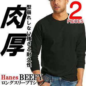 wCY r[tB[ TVc 2  Hanes BEEFY n wr[EFCg  jZbNX H5186 [ߗ] 00582