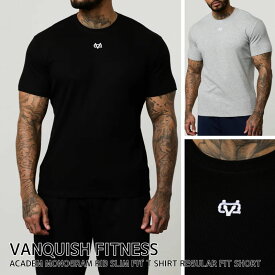 ヴァンキッシュ フィットネス 半袖 Tシャツ VANQUISH FITNESS MONOGRAM RIB SLIM FIT T SHIRT メンズ 筋トレ ジム ウエア スポーツ 正規品 [衣類] ユ00582