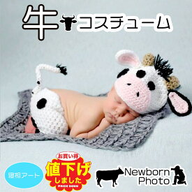 楽天市場 牛 コスチュームの通販
