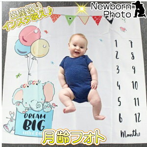 ニューボーンフォト ベビー 月齢アート 動物 アニマル ぞう 風船 バルーン 月齢フォト アート 寝相アート バースデーフォト おひるねアート インスタ映え 写真撮影
