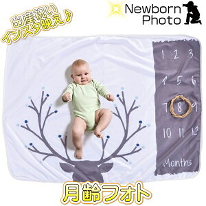 j[{[tHg xr[ A[g tHgV[cgiJC ƂȂ tHg A[g QA[g o[Xf[tHg Ђ˃A[g CX^f ʐ^Bej[{[tHg xr[ 