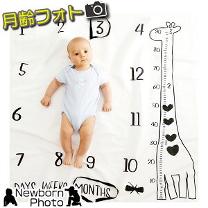 j[{[tHg xr[ A[g zCg ubN L vg tHgA[g QA[g o[Xf[tHg Ђ˃A[g CX^f ʐ^Be LOʐ^ N j̎q 