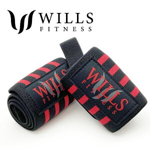 Xgbv ؃g  WILLS FITNESS Œ ⏕ K[h EGCgg[jO _CGbg ؗ̓Abv tBbglX O[u o[x x`vX ی T|[^[ VANQUISH