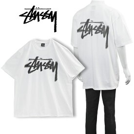 ステューシー STUSSY ディズィー ストック Tシャツ DIZZY STOCK TEE 1904932-WHITE【新作】