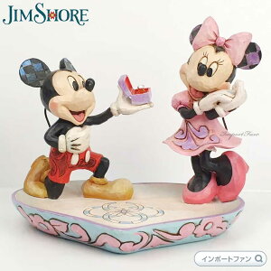 WVA ~bL[~j[ OfBbV w fBYj[gfBV 4055436 Jim Shore Disney Traditions u Mtg v[g 