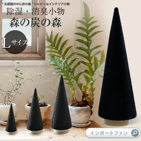 楽天市場 炭 オブジェの通販