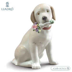 h ԑȂ uh[ go[  u 01009256 LLADRO Mtg v[g 