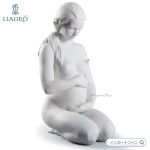 h V zCg Dw  Ԃ u 01008753 LLADROy|Cgő47{I}\ Z[z