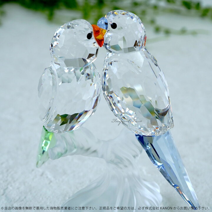 楽天市場】スワロフスキー Swarovski セキセイインコ 鳥 680627 ギフト 