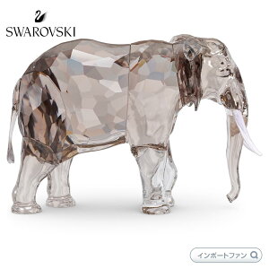 XtXL[ GKXEIuEAtJ SCS 2022Nxi ]E t@  u 5604555 Swarovski y|Cgő47{IubNtCf[ Z[z