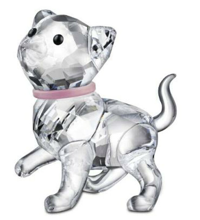 楽天市場】スワロフスキー 子猫 スタンディング 1193537 Swarovski 