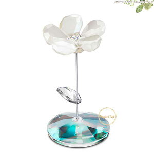 XtXL[ bLOt[ WbL[ 1048714 Swarovski Jacky Mtg v[g 