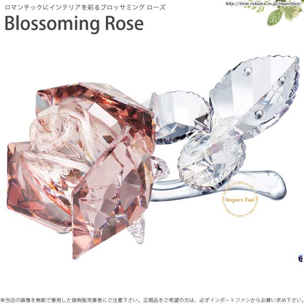 スワロフスキー ブロッサミング ローズ 1113884 Swarovski Blossoming Rose バラ ギフト プレゼント □ |  Import Fan
