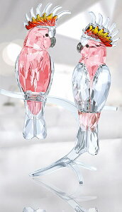 XtXL[ N}TJIE yA  sN 5244651 Swarovski Pink Cockatoos Mtg v[g