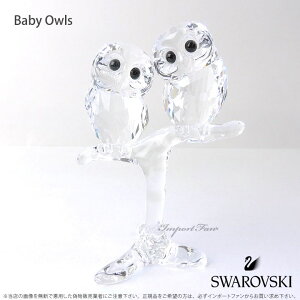 XtXL[ tNE Ԃ yAZbg 5249263 Swarovski Baby Owls hV Mtg v[g