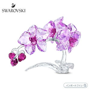 XtXL[ I[Lbh  p[v t[ u 5520373 Swarovski y|Cgő47{IubNtCf[ Z[z