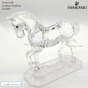 XtXL[ ArA X^I n E}  x \x 221609 Swarovski u Mtg v[g y|Cgő47{IubNtCf[ Z[z