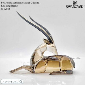 XtXL[ AtJTZbg K[ Kito  5557856 Swarovski u  Mtg v[g y|Cgő47{IubNtCf[ Z[z