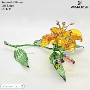 XtXL[ t[   t[ [WTCY 5671725 Swarovski u Mtg v[g y|Cgő47{IubNtCf[ Z[z