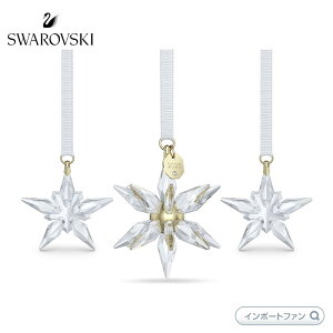 XtXL[ 2025N 3D I[igZbg NX}X 5701628 