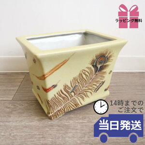 y MtgbsOzԕr t[x[X  H  Jo[ lp    rO a m r[ GgX sN t[AWx[X p^ 