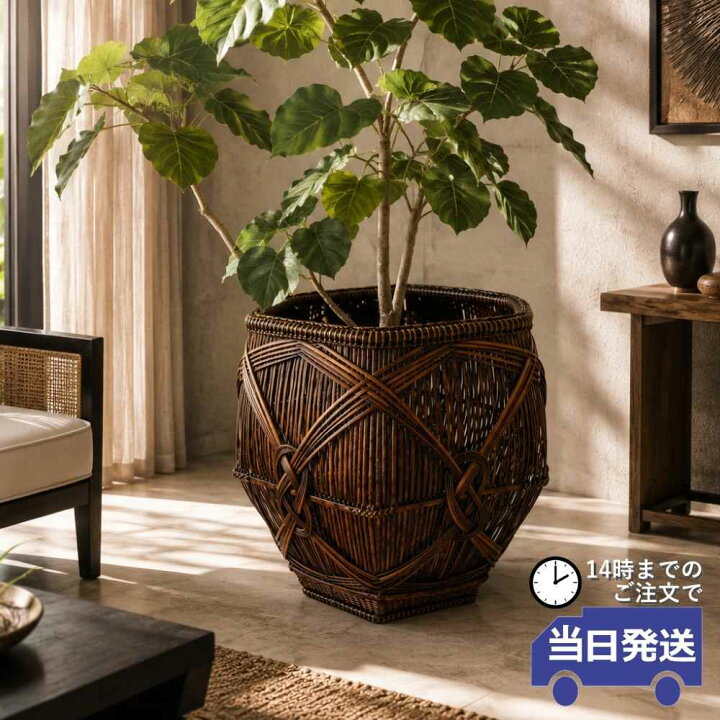 楽天市場】【当日発送】ラタン プランターカバー 大型 9号鉢 観葉植物 