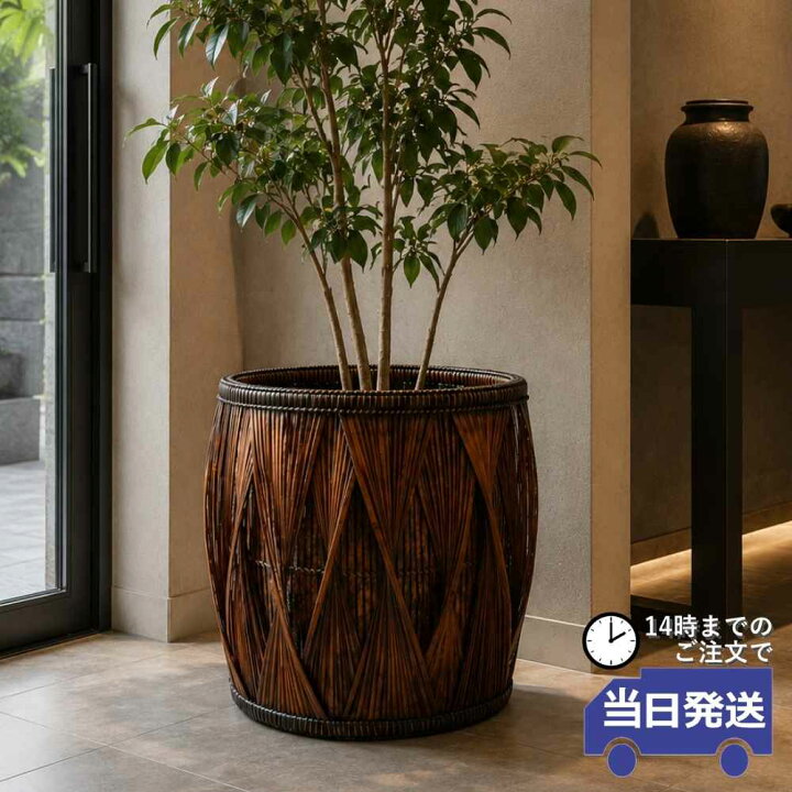 楽天市場】【当日発送】鉢カバー 大型 15号鉢 ラタン 高級 収納 