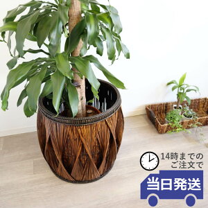 yzJo[ ^ ^  [ AWA ][g CeA  ϗtA rO i JS r[ ze ou[ G zeCN Q ̓