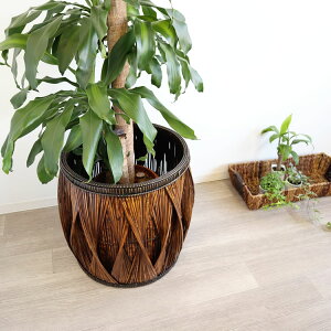 観葉植物 インテリア 大型 鉢の人気商品 通販 価格比較 価格 Com