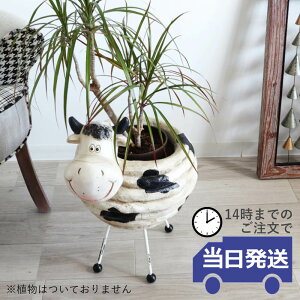 y 悠zJo[  v^[ EV u v^[Jo[  AeB[N 킢  t[|bg  AؔJo[  K[fjOG  e x