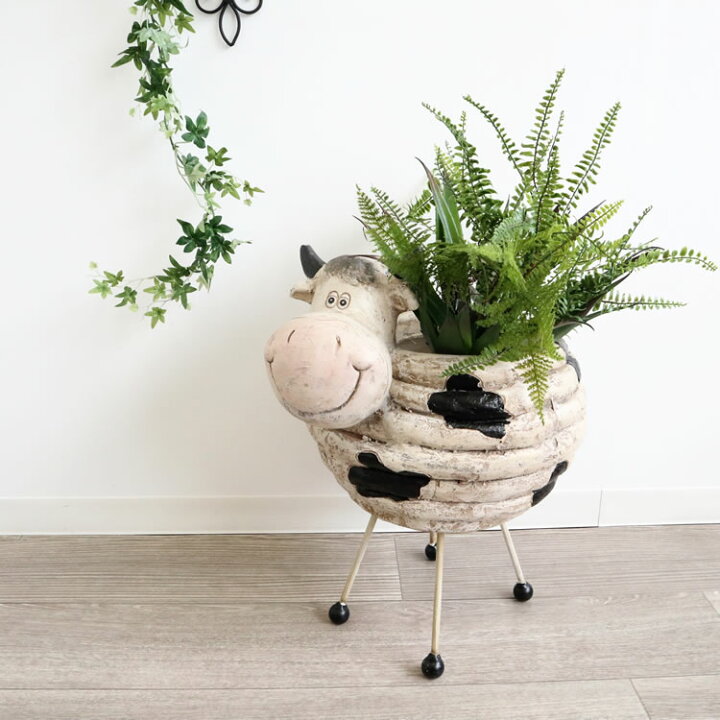 楽天市場 動画あり 鉢カバー おしゃれ プランター ウシ 置物 プランターカバー アンティーク風 かわいい フラワーポット 植木鉢カバー 玄関 ガーデニング雑貨 花 容器 ベランダ 雑貨 バスケット カゴ 観葉植物 アニマル 動物 輸入雑貨 イエ