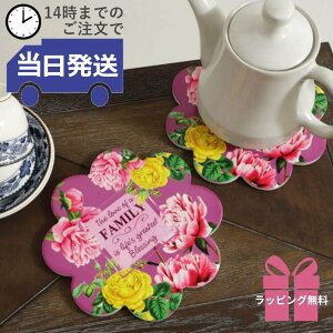 y MtgbsOz ~ 킢 gxbg   ԕ CeA t[  Lb`G 20cm RN IV |bgX^h  tCpu 