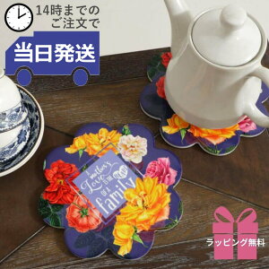 y MtgbsOz ~ 킢 gxbg   ԕ CeA t[  Lb`G 20cm RN IV |bgX^h  tCpu 