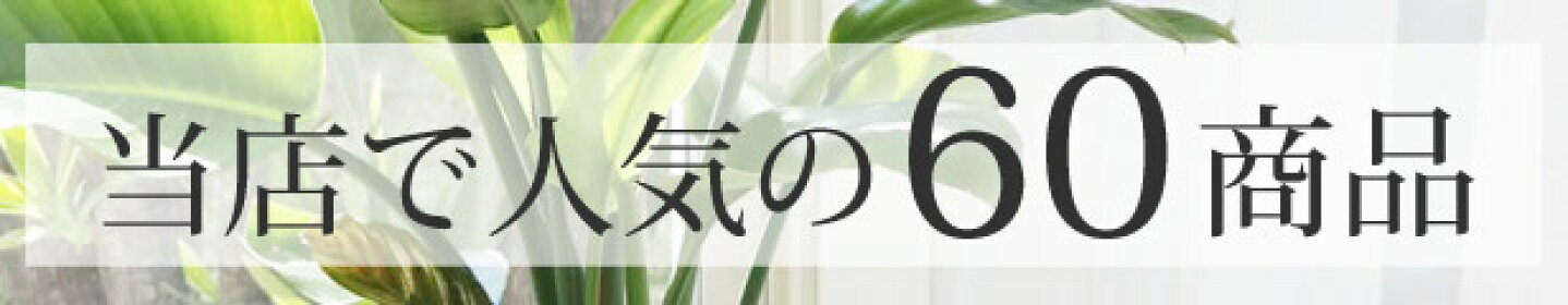 人気の６０アイテム
