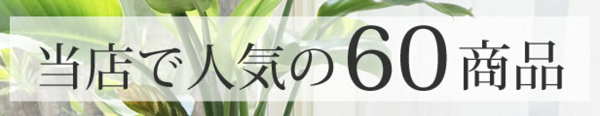 人気の６０アイテム
