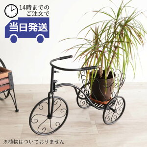 y 悠zJo[ v^[  킢 mg[ CeA G t[x[X  t[X^h ACA Ԋ AeB[N ubN  K[fjO