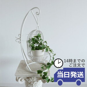 y 悠zt[X^h ACA Jo[  I nMOv^[ JS AؔJo[ |bgJo[ ԑ t[AWx[X ACAԊ zCg C