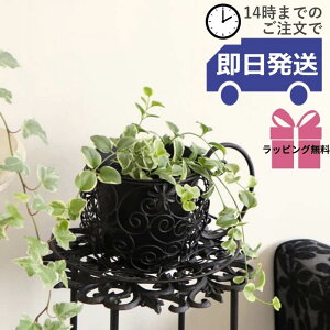 y MtgbsOz Jo[  v^[Jo[ ACA G 킢 t[|bg    AؔJo[  K[fjOG x_ ϗtA eB