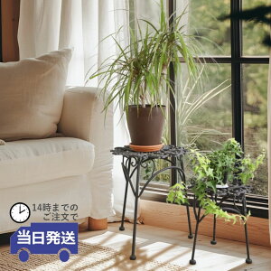 y 悠zt[X^h v^[X^h  K[fjO CeA ACA ԑ  2Zbg fBXvC  AeB[N u Ԓu ϗtA 