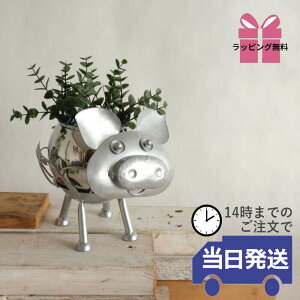 y MtgbsOzJo[ K[fjO CeA  v^[ _ u^ u 킢 t[|bg AؔJo[   e  K[fjOG 