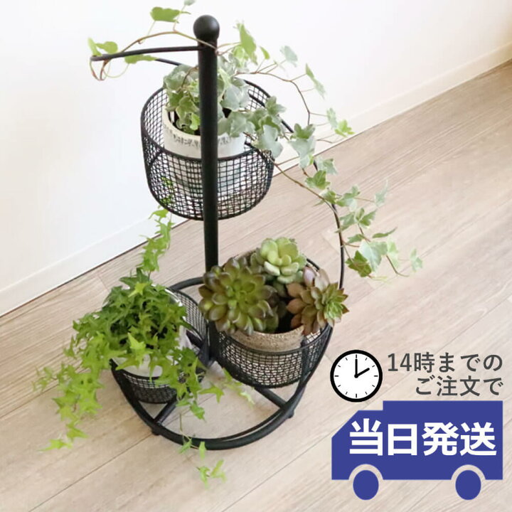 楽天市場】【当日発送 動画有り】花台 フラワースタンド ガーデニング 