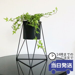 yzt[X^h ACA   _ Jo[ k v^[X^h  Vv ԑ IuWF x_ K[fjO u rO CeAG 