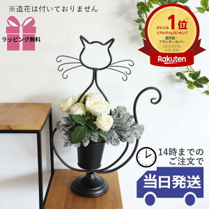 y 悠 MtgbsOzv^[ L  CeA  v^[X^h  K[fjOG O Jo[  t[x[X ԕr 킢 AC